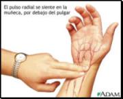 Pulso Radial Distribuir contenido